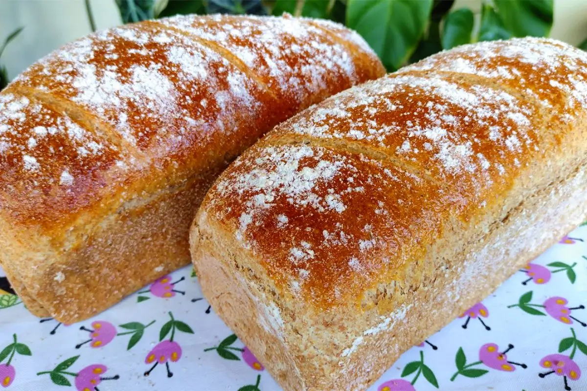 Pão integral: o segredo caseiro que une sabor, saúde e tradição
