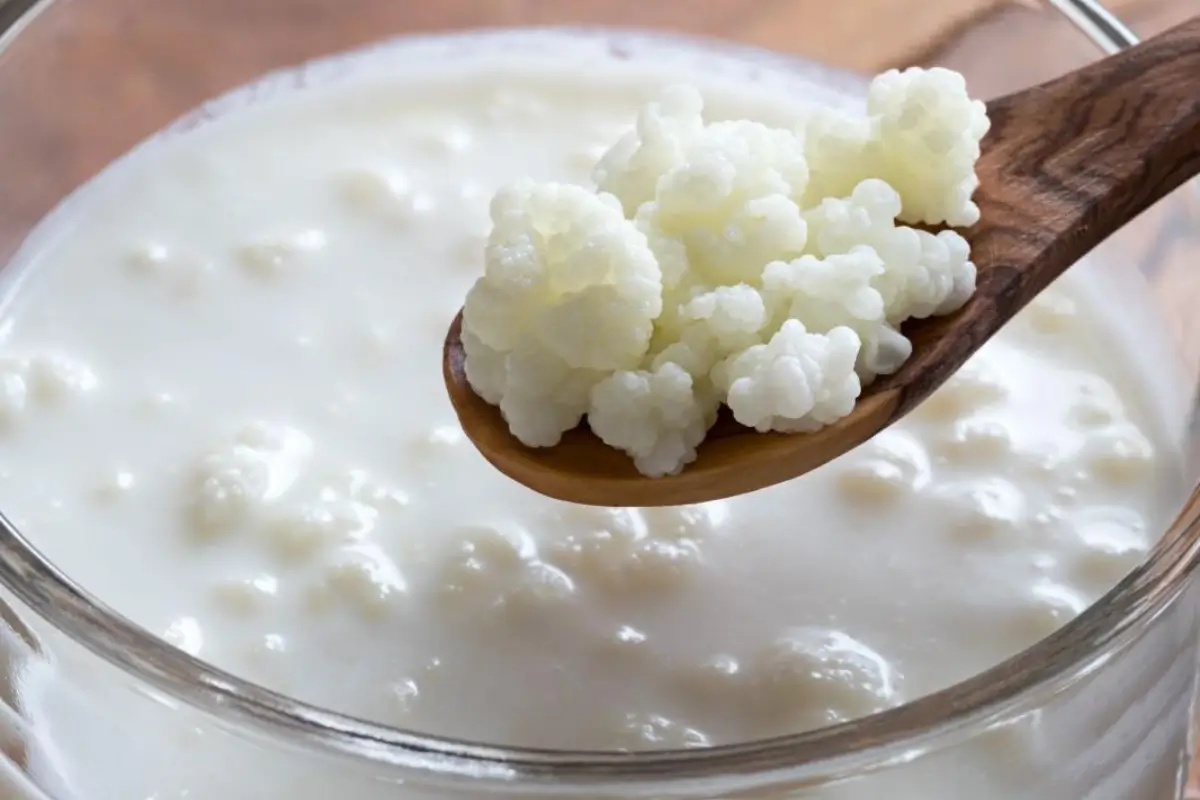 Kefir: O Elixir Milenar das Montanhas